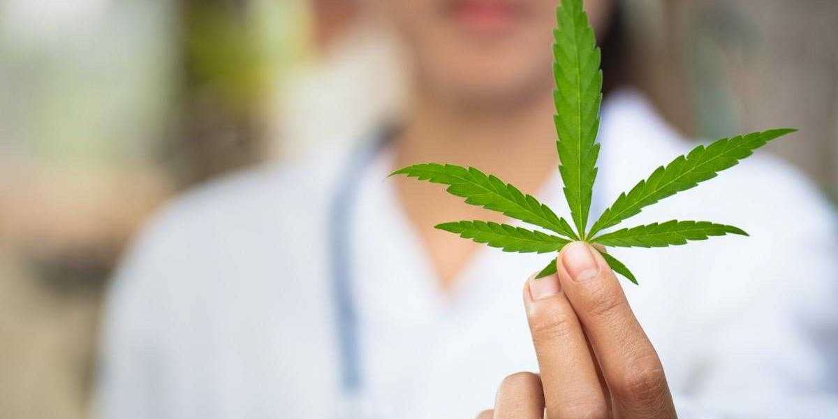 Louisiana Medical Marijuana Dispensaries