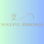 soulful seekings Profile Picture