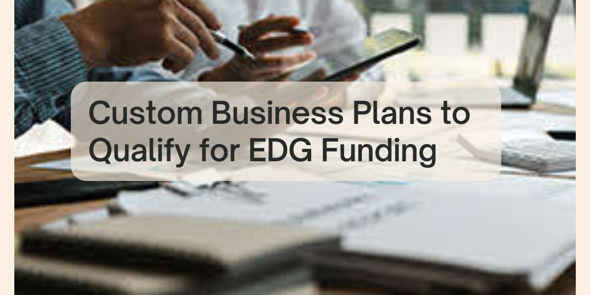 Custom Business Plans to Qualify for EDG Funding