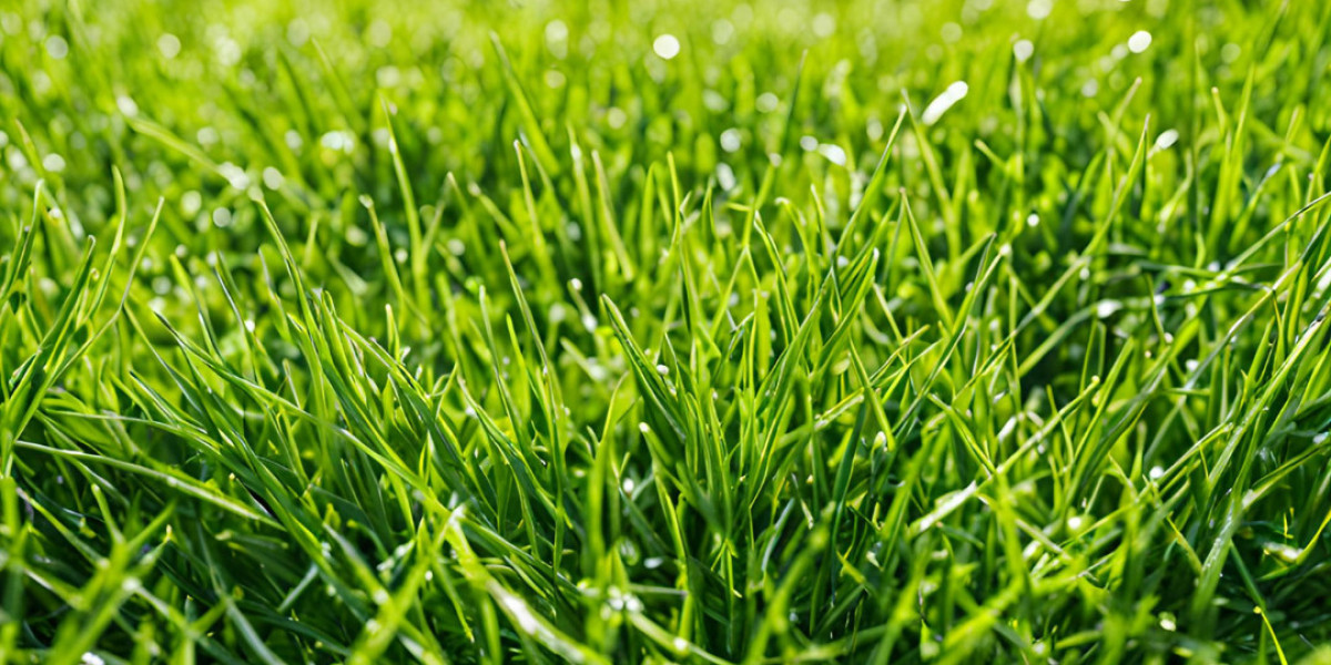 Transform Your Lawn with Eye Candy Lawn Mowing